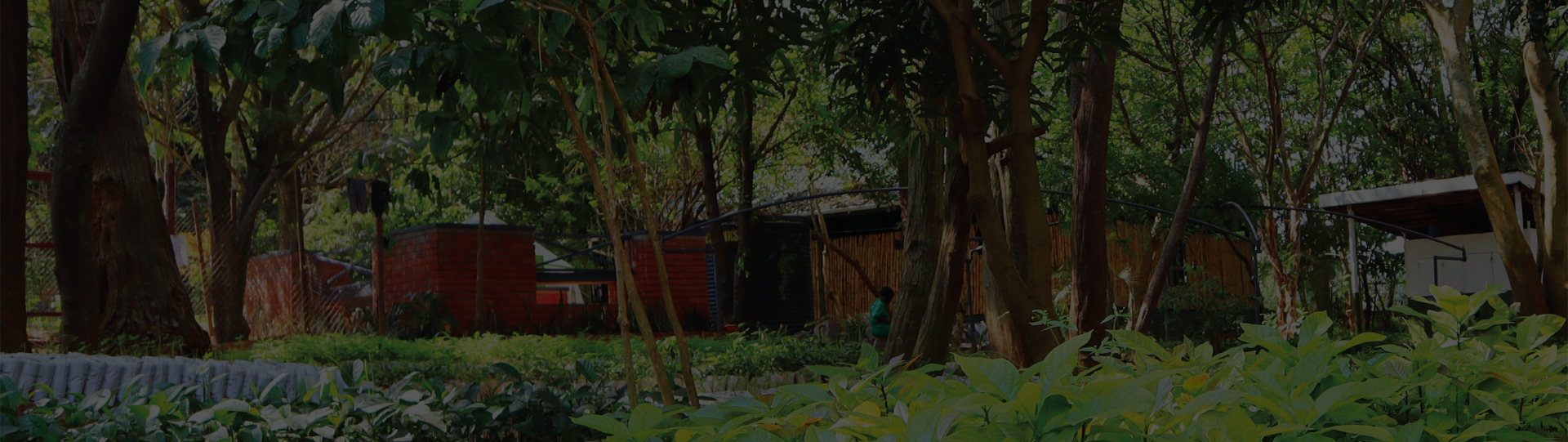 Sustainability Sustainability